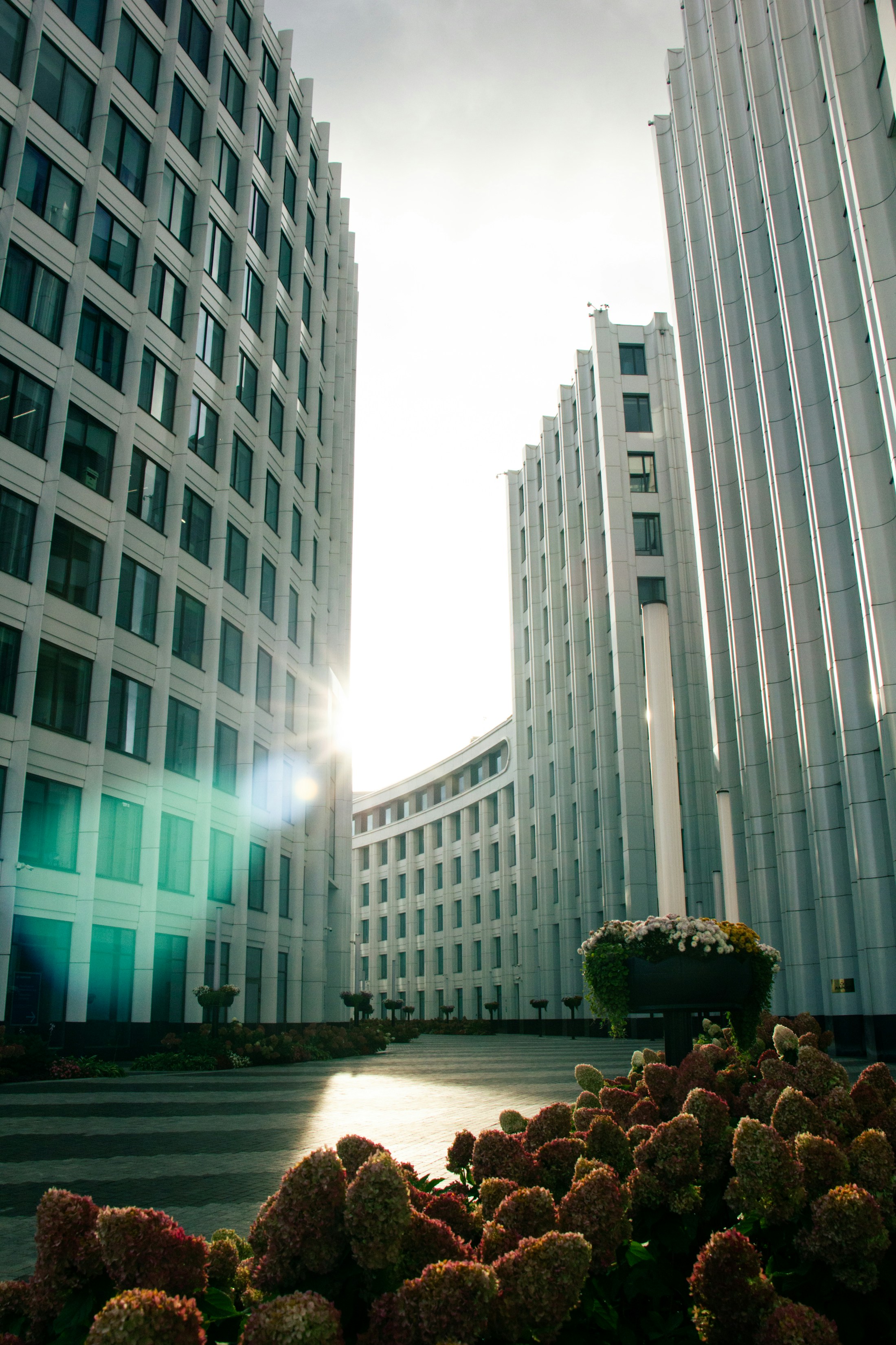 Sunlit modern office buildings representing the regional business corridor